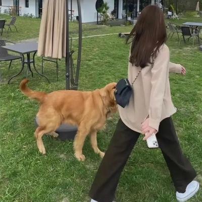 女卡车司机